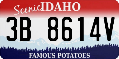 ID license plate 3B8614V