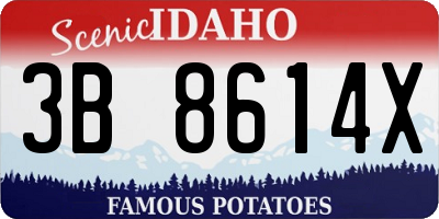ID license plate 3B8614X