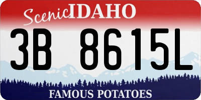 ID license plate 3B8615L