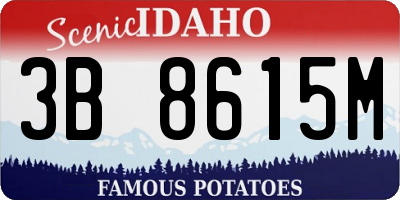 ID license plate 3B8615M