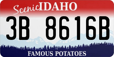 ID license plate 3B8616B