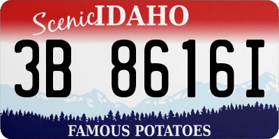 ID license plate 3B8616I