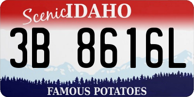 ID license plate 3B8616L