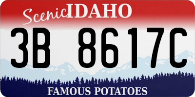 ID license plate 3B8617C