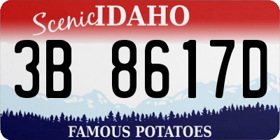 ID license plate 3B8617D