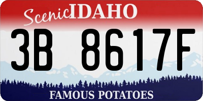 ID license plate 3B8617F