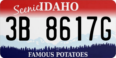 ID license plate 3B8617G