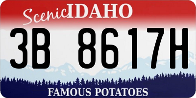 ID license plate 3B8617H