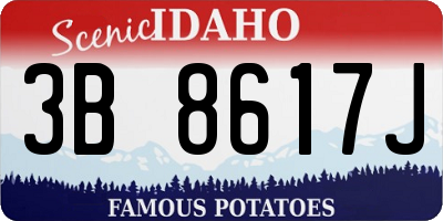 ID license plate 3B8617J