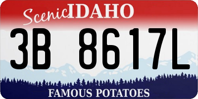 ID license plate 3B8617L
