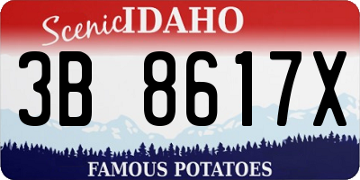 ID license plate 3B8617X