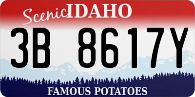 ID license plate 3B8617Y