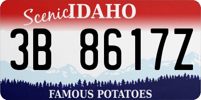ID license plate 3B8617Z