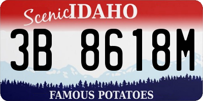 ID license plate 3B8618M