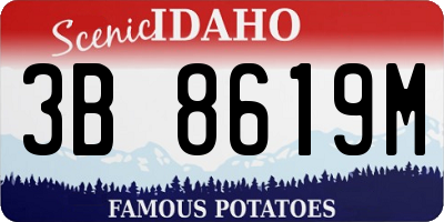 ID license plate 3B8619M