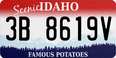 ID license plate 3B8619V