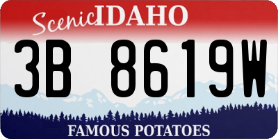 ID license plate 3B8619W