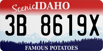 ID license plate 3B8619X