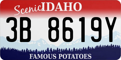 ID license plate 3B8619Y