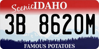 ID license plate 3B8620M