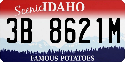 ID license plate 3B8621M