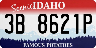 ID license plate 3B8621P