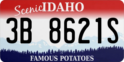 ID license plate 3B8621S