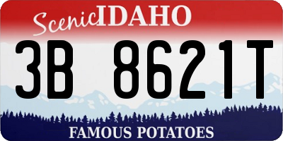 ID license plate 3B8621T
