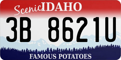 ID license plate 3B8621U
