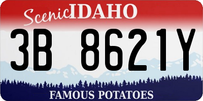 ID license plate 3B8621Y