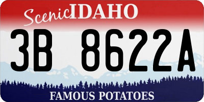 ID license plate 3B8622A