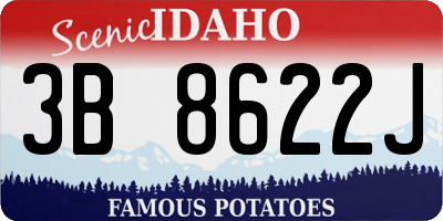 ID license plate 3B8622J