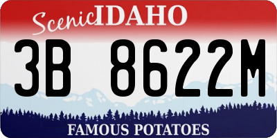 ID license plate 3B8622M