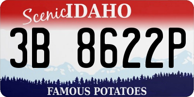 ID license plate 3B8622P