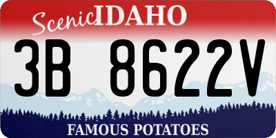 ID license plate 3B8622V