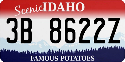 ID license plate 3B8622Z