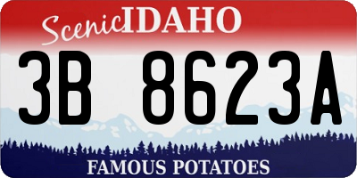 ID license plate 3B8623A