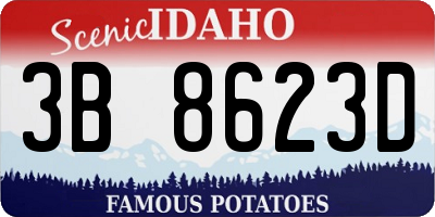 ID license plate 3B8623D