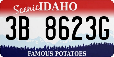 ID license plate 3B8623G