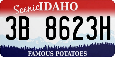 ID license plate 3B8623H
