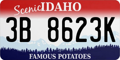 ID license plate 3B8623K