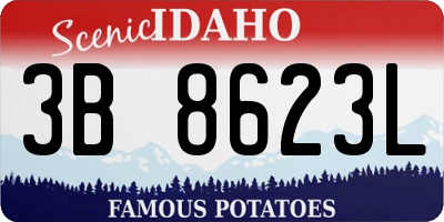 ID license plate 3B8623L