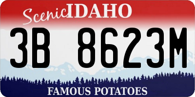 ID license plate 3B8623M