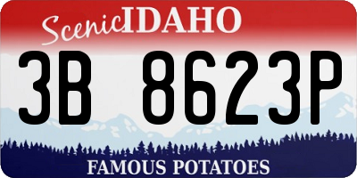 ID license plate 3B8623P