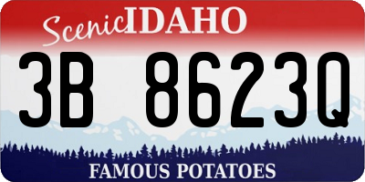 ID license plate 3B8623Q