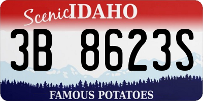 ID license plate 3B8623S