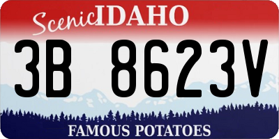 ID license plate 3B8623V