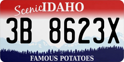ID license plate 3B8623X