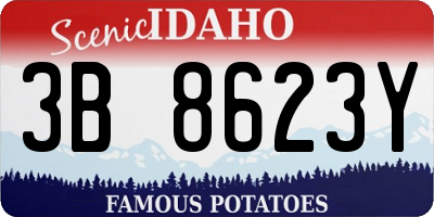 ID license plate 3B8623Y
