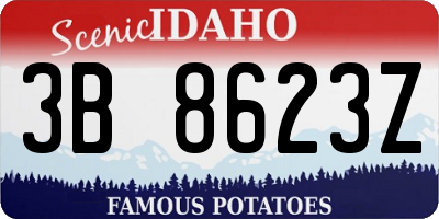 ID license plate 3B8623Z